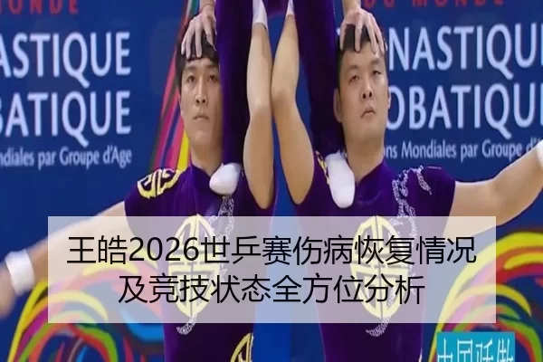 wang-hao-shi-ping-sai-shang-bing-hui-fu-qing-kuang-ji-jing-ji-zhuang-tai-quan-fang-wei-fen-xi-2-382.jpg